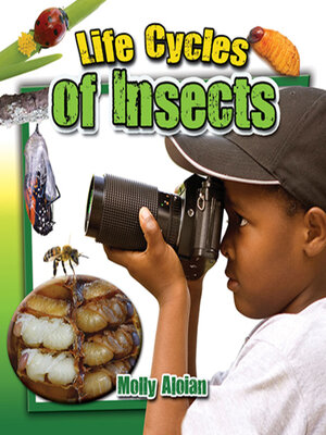 Life Cycles of Insects - ebook
